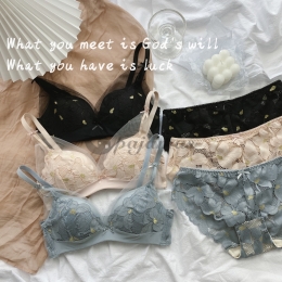 可愛い セクシー 下着 姿 通販 熟女 安い レディース おしゃれ ブラ ヒップリフト レース